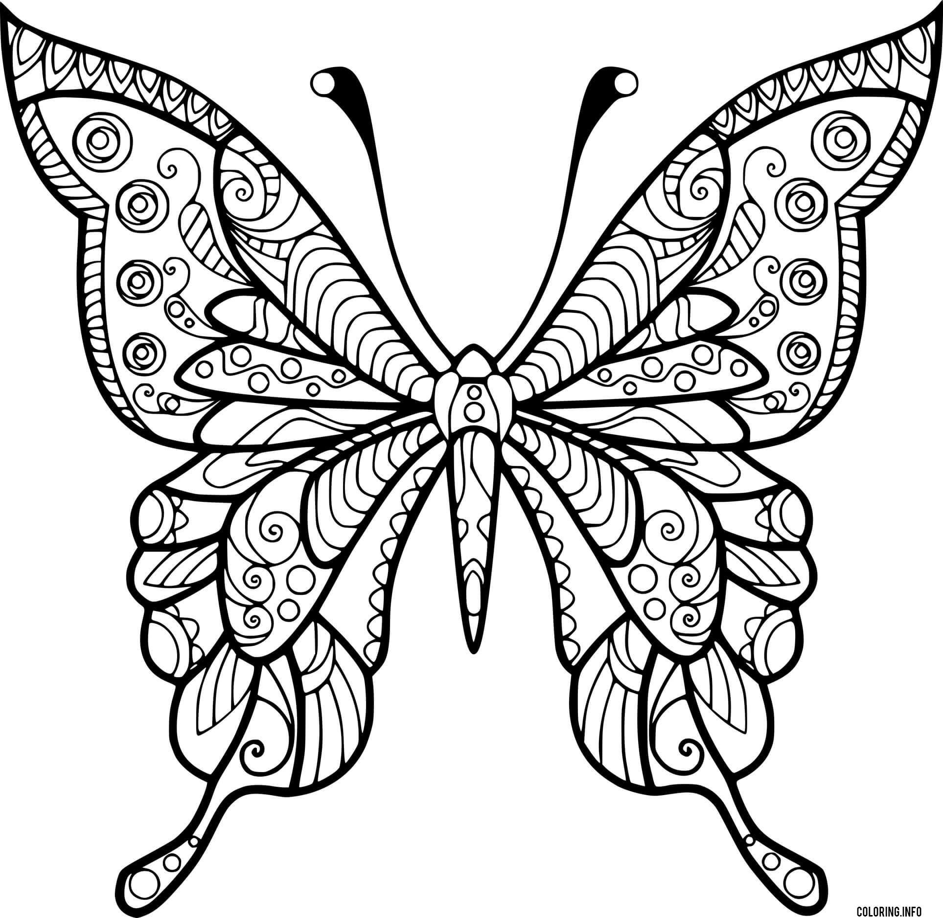 Swallowtail Butterfly Zentangle Coloring page Printable