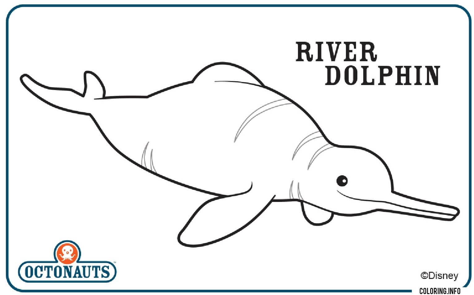 River Dolphin Octonaut Creature coloring