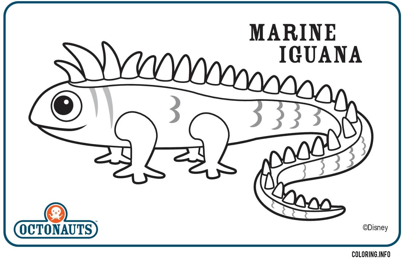 Marine Iguana Octonaut Creature coloring