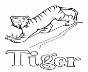 alphabet  tiger2b79