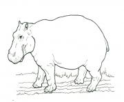 Printable african animal s hippo printablec214 coloring pages