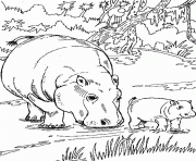 Printable african animal s hippo familyc718 coloring pages