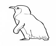Printable animal s for kids penguin1f6f coloring pages
