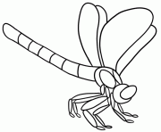 dragonfly animal c755