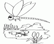 Printable kids dragonfly animal 5b62 coloring pages