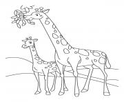 Printable giraffes having food animal s28e5 coloring pages