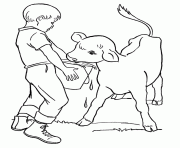 Printable feeds the calf farm animal s00f7 coloring pages