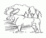 Printable moose in the forest free animal se84c coloring pages