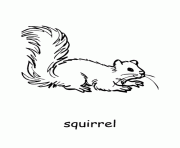 Printable printable animal squirrel sc82f coloring pages