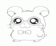 Printable hamtaro s for girls animals5568 coloring pages