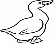 Printable goose printable animal s for childrenae20 coloring pages