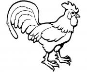 rooster farm animal s kidsb421