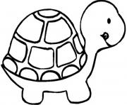 Printable turtle preschool s zoo animalsabd8 coloring pages