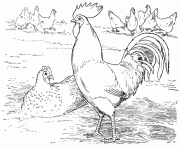 Printable farm animal s for preschool9cc8 coloring pages