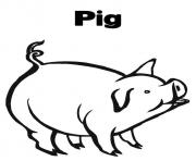 Printable coloring pages a pig animalccee coloring pages