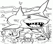 Printable free s of sea animalsb6bd coloring pages