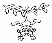 Printable hanging monkey preschool s zoo animals5366 coloring pages