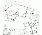 Printable bears s printable animalsb11b coloring pages
