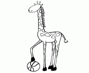 Printable giraffe and basket ball animal s793b coloring pages