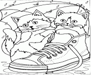 Printable cats in a sneaker animal s1d7b coloring pages