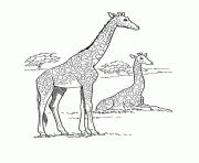Printable giraffe animal s free9d52 coloring pages