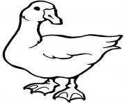 white goose printable animal sa936