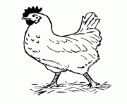 Printable farm animal s hen free53fb coloring pages