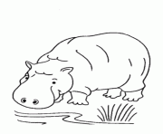 Printable wild african animal s hippo843f coloring pages