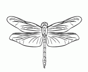 Printable awesome animal dragonfly 2a0f coloring pages