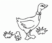 Printable goose printable animal s for kids6cf5 coloring pages