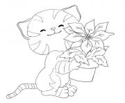 Printable cat with small plant animal s6bc6 coloring pages