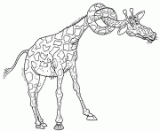Printable splinted giraffe animal coloring pages0532 coloring pages
