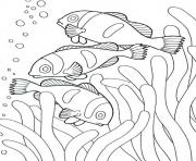 Printable coloring pages of sea animals clown fish53dd coloring pages
