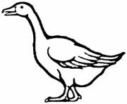 Printable printable animal s free gooseaaa3 coloring pages