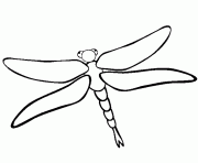 Printable dragonfly s of animals free9e69 coloring pages