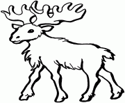 Printable moose walking free animal s817a coloring pages
