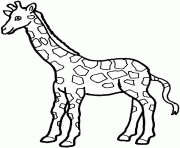 Printable giraffe preschool s zoo animals14cd coloring pages
