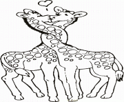 Printable two giraffes in love animal coloring pagesfa06 coloring pages