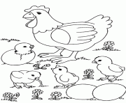 Printable chicks and chicken farm animal s8fdb coloring pages