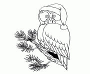 Printable christmas owl s1213 coloring pages