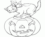 Printable halloween s cat and pumpkincf6f coloring pages
