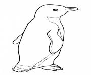 penguin on ice f534