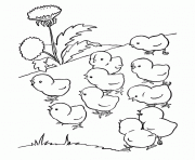 Printable cute baby chicks preschool s farm animals8adb coloring pages