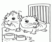 Printable cute guinea pig s2f99 coloring pages