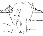 cute polar bear color pages to print9b5d