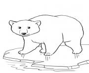 Printable winter polar bear971c coloring pages