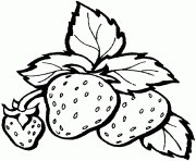 Printable strawberry fruit s freef8ca coloring pages
