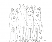 animal wolf s printable