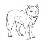 Printable realistic wolf s to print coloring pages