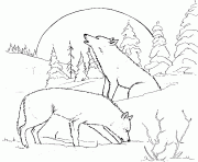 Printable wolf s for adults coloring pages